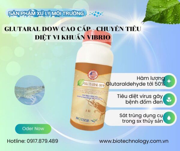 GLUTARAL DOW CAO CẤP