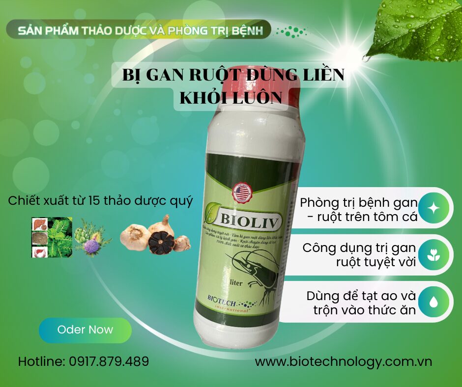 SẢN PHẨM NỔI BẬT