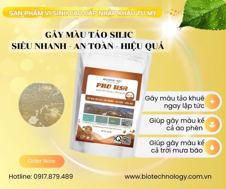 PRO USA SILIC - GÂY MÀU TẢO KHUÊ