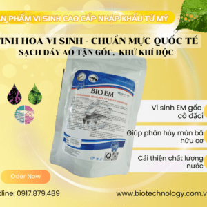 BIO EM – VI SINH GỐC