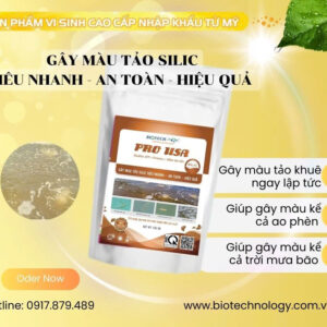 PRO USA SILIC - GÂY MÀU TẢO KHUÊ