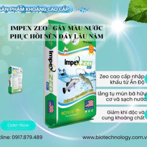 IMPEX ZEO (bột)